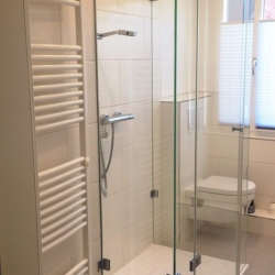 Glasdusche nach Maß